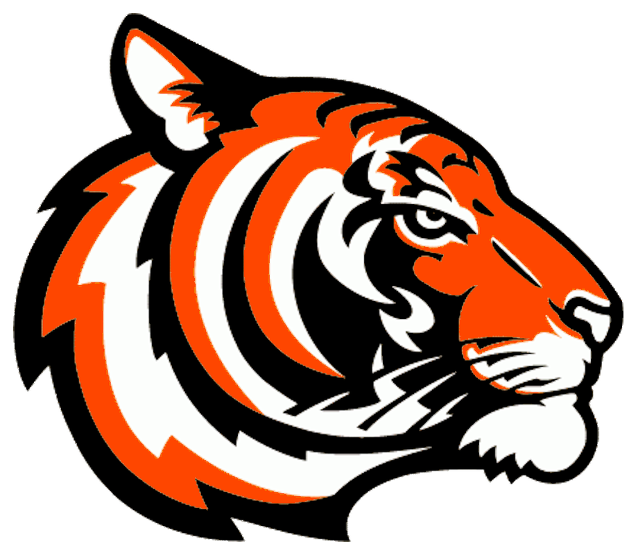 Bengal Tiger Logo Clip Art Cincinnati Bengals Png Download 920 800 Free Transparent Bengal Tiger Png Download Clip Art Library