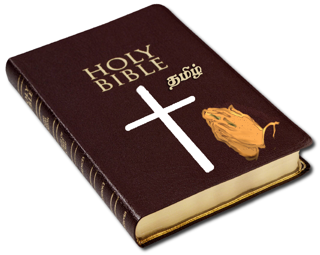 Catholic Bible Religious Text God Book Bible Png Png Download 1066