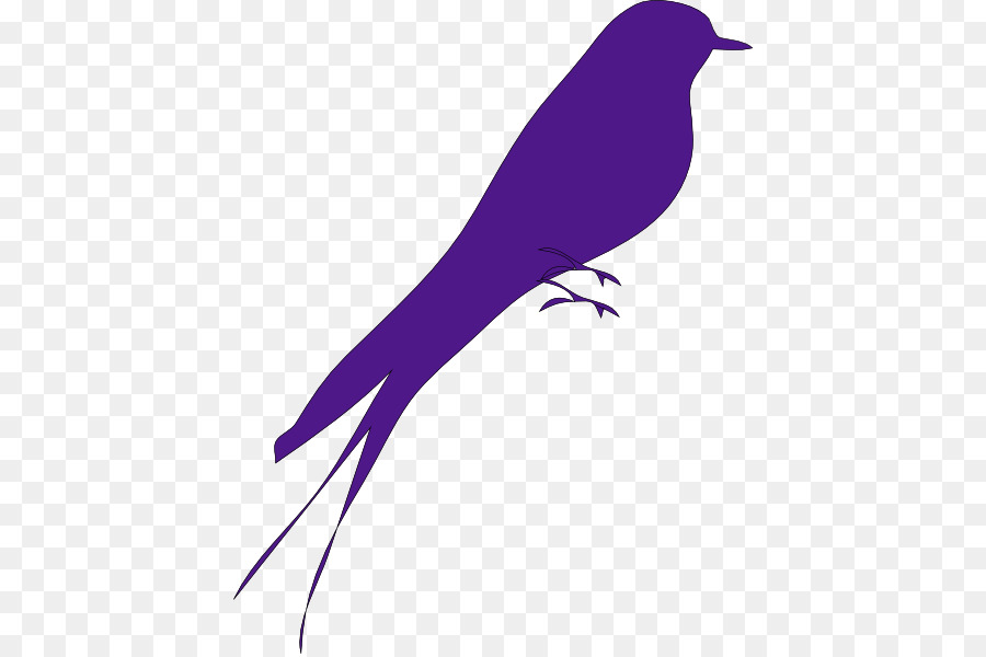 Bird Computer Icons Purple Clip art - Big Bird Clipart png download - 474*597 - Free Transparent Bird png Download.