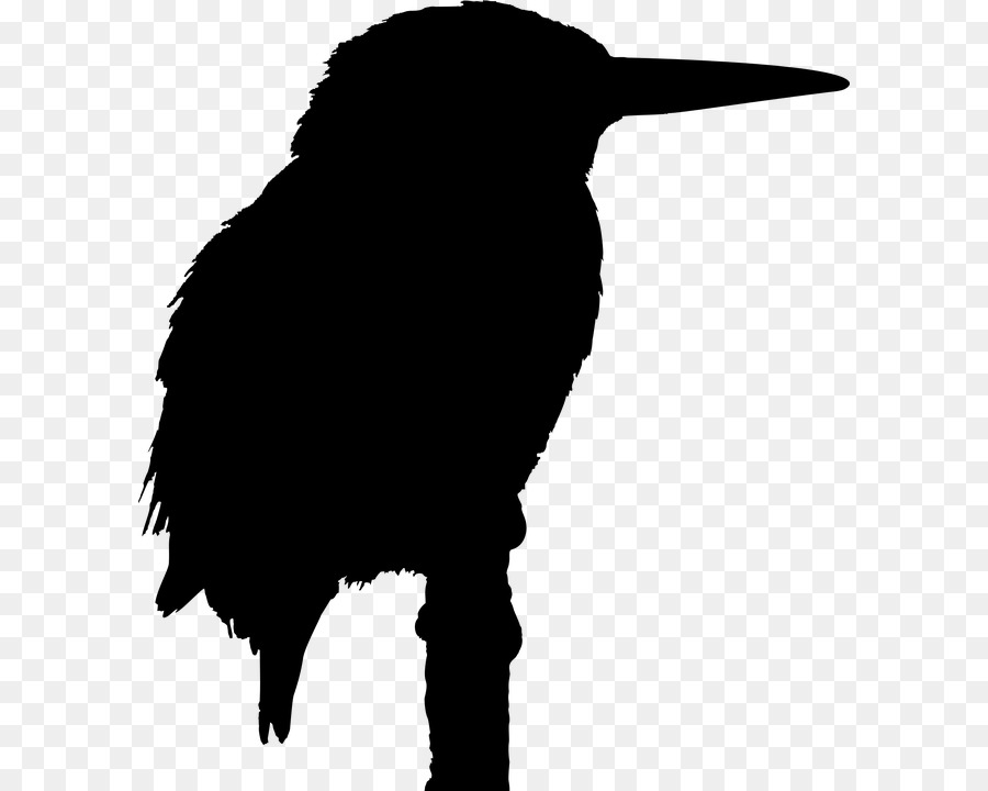 Big Bird Silhouette Kingfisher - Bird png download - 648*720 - Free Transparent Bird png Download.