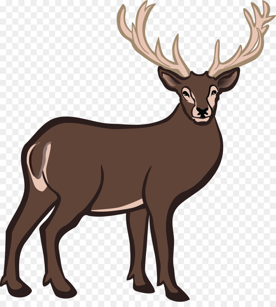 White-tailed deer Reindeer Clip art - deer head png download - 4000*4368 - Free Transparent Deer png Download.