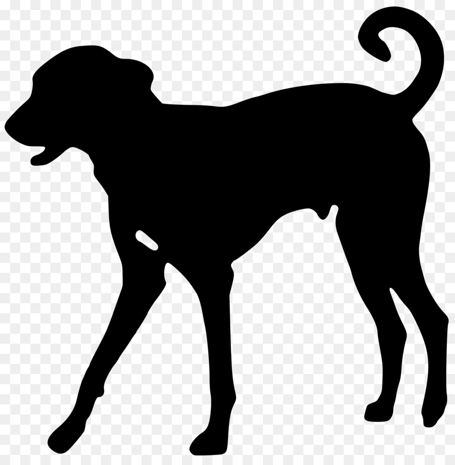 Greyhound Beagle Dobermann Clip art - Dog Silhoutte png download - 2000*2024 - Free Transparent Greyhound png Download.