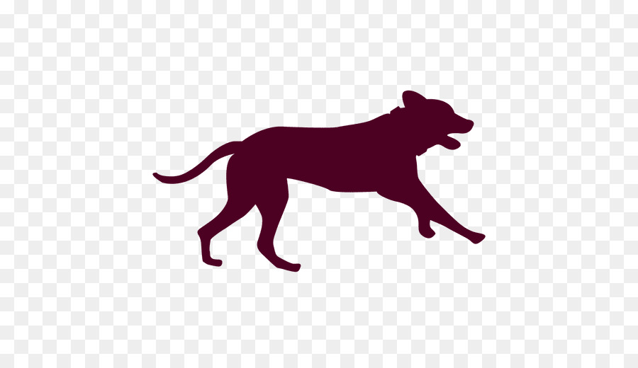 Dog Cat Puppy - runner png download - 512*512 - Free Transparent Dog png Download.