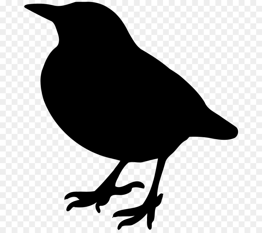 Bird Silhouette Crane American crow Clip art - branch png png download - 750*800 - Free Transparent Bird png Download.