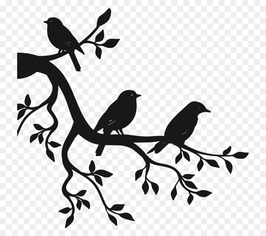 Paper Sticker Branch Bird Wall decal - Bird png download - 800*800 - Free Transparent Paper png Download.