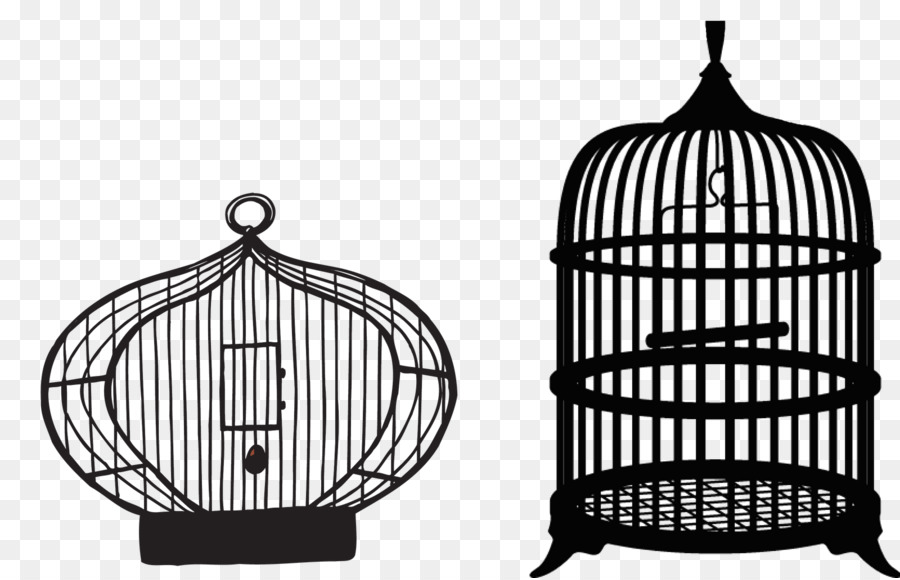 Birdcage Parrot Domestic canary Clip art - Empty Birdcage Cliparts png download - 1600*1027 - Free Transparent Bird png Download.