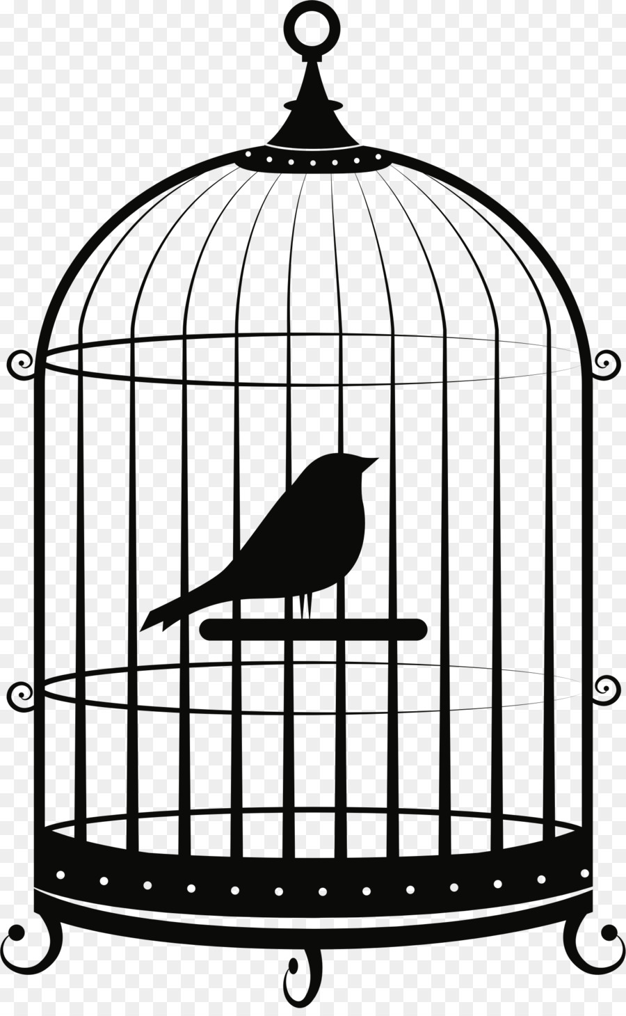 Birdcage Parrot Clip art - Bird png download - 1480*2383 - Free Transparent Bird png Download.