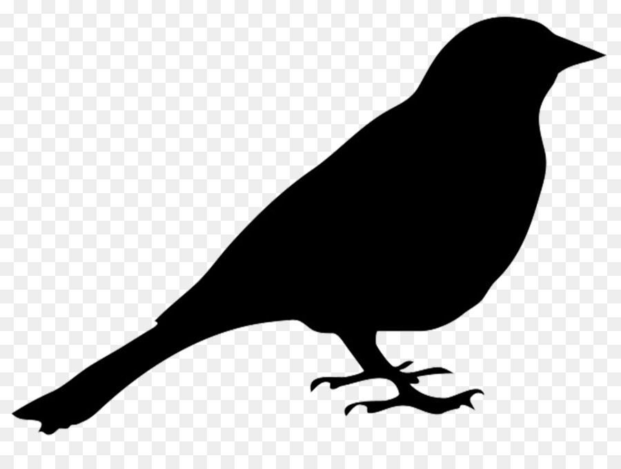 Bird Silhouette Drawing Clip art - simple bird png download - 1325*992 - Free Transparent Bird png Download.