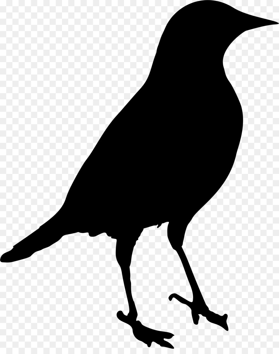 Bird Silhouette Crow Clip art - bird silhouette png download - 1806*2253 - Free Transparent Bird png Download.