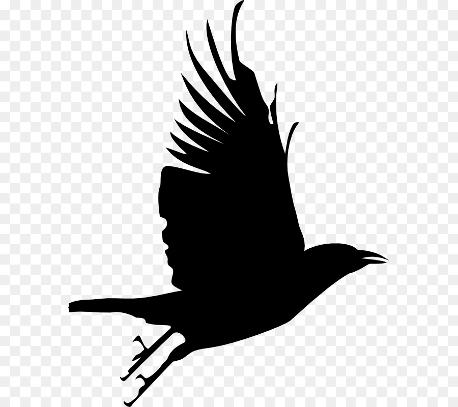 Bird Crow Silhouette Clip art - raven vector png download - 631*800 - Free Transparent Bird png Download.