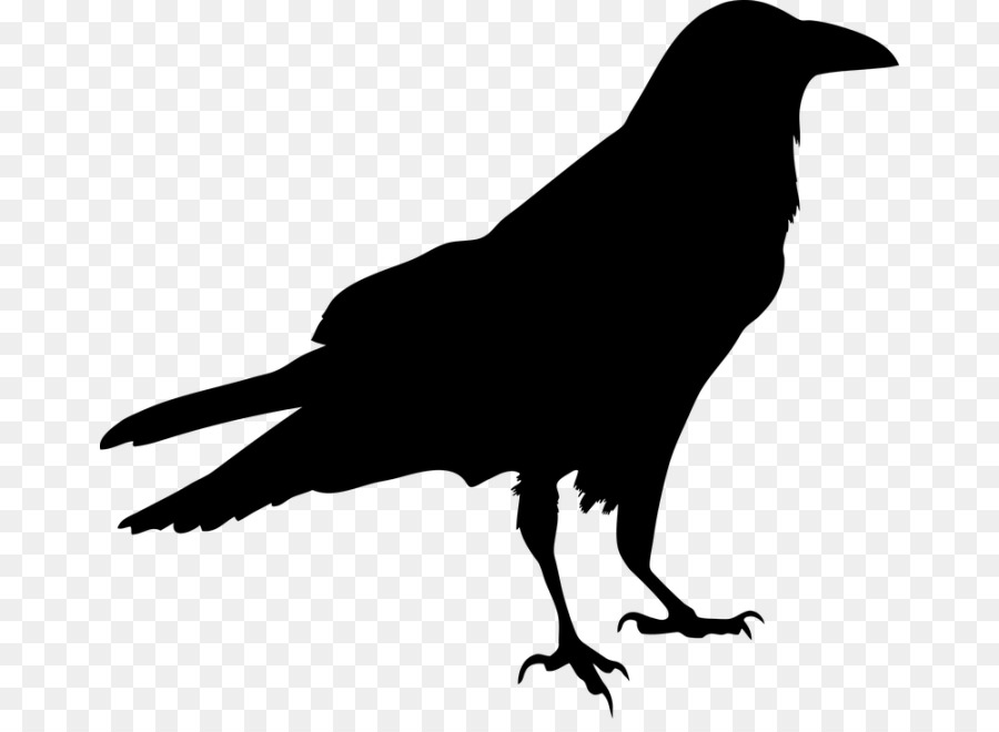 Blackbird Silhouette Clip art - Bird png download - 720*648 - Free Transparent Bird png Download.