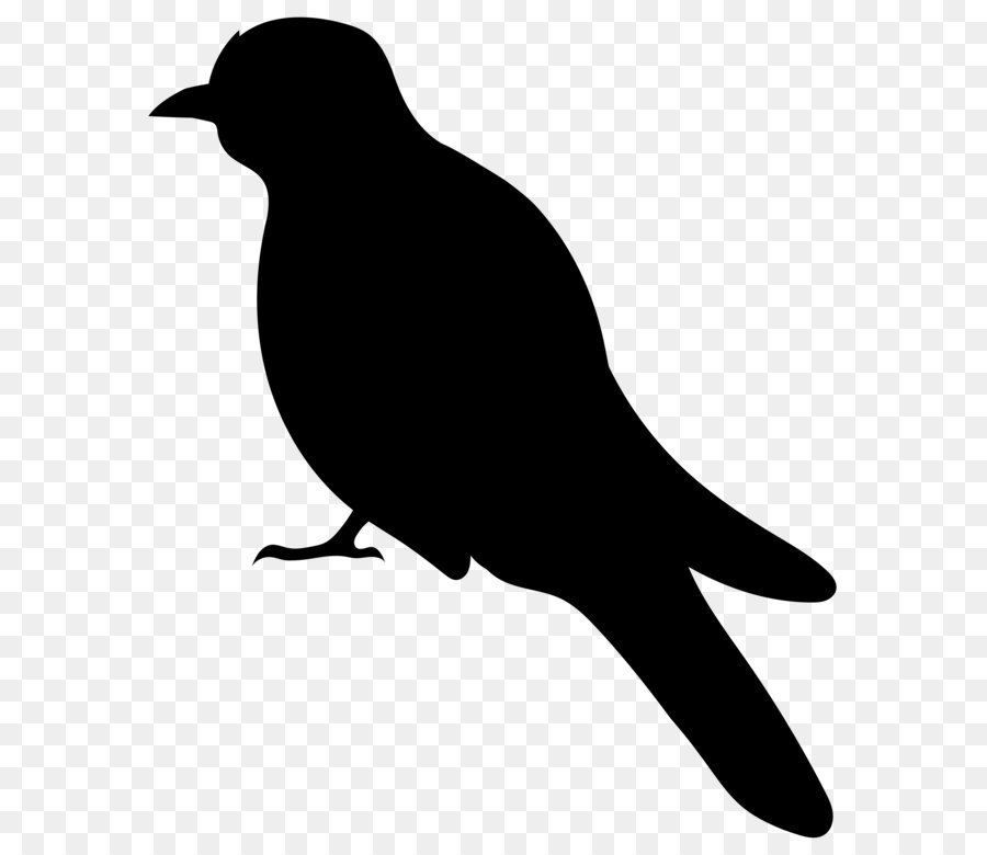 Bird Silhouette Clip art - Bird Silhouette PNG Clip Art Image png download - 6716*8000 - Free Transparent Bird png Download.