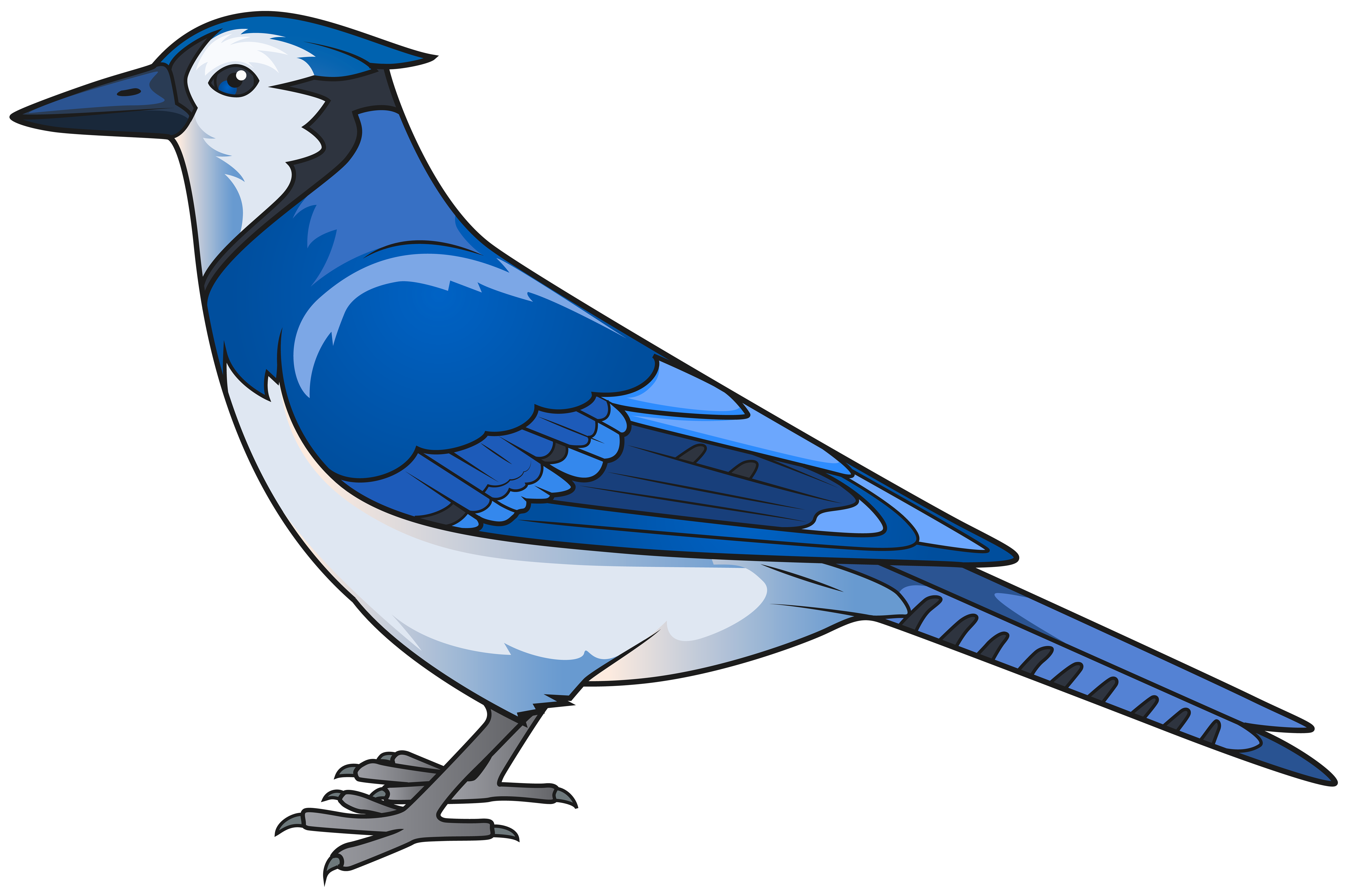 Eastern Bluebird Clip Art Blue Bird Transparent Png Clip Art Image