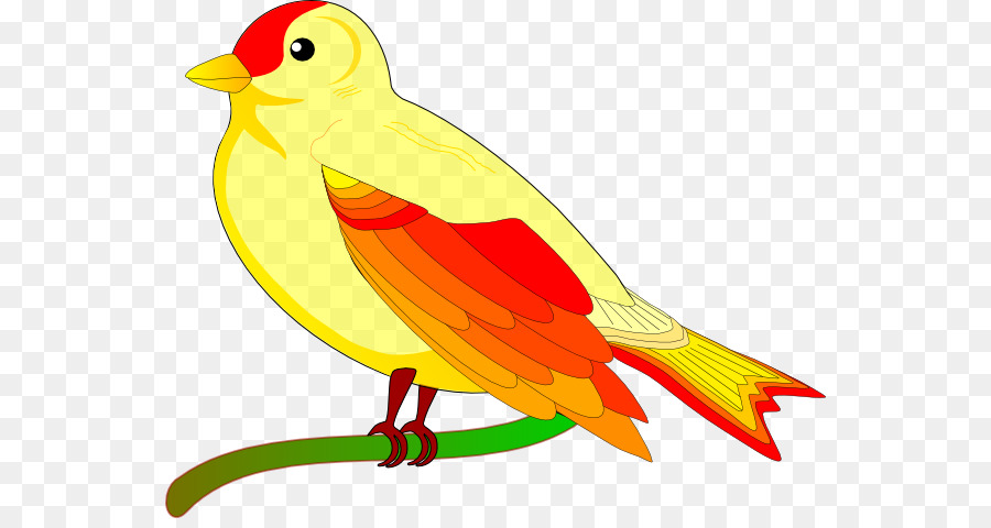 Bird flight Animation Clip art - Free Bird Clipart png download - 600*471 - Free Transparent Bird png Download.