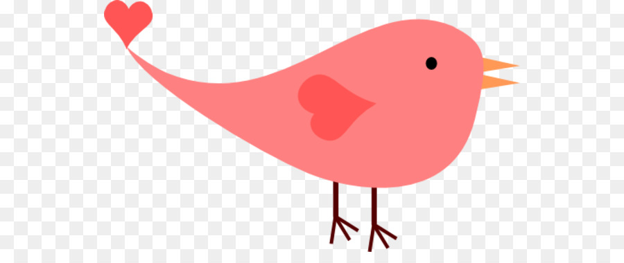 Bird Pink Clip art - cute bird clipart png download - 600*364 - Free Transparent Bird png Download.
