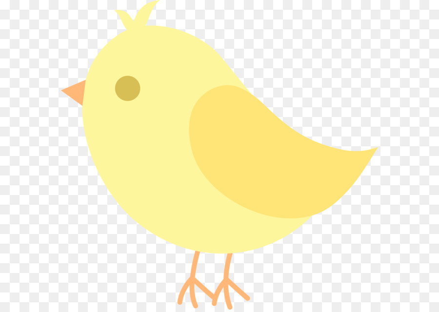 Chicken Bird Beak Clip art - Cute Bird Clipart png download - 4621*4511 - Free Transparent Chicken png Download.