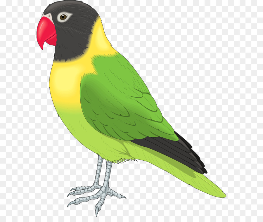 Bird Clip art - Flying Birds Clipart png download - 700*800 - Free Transparent Bird png Download.