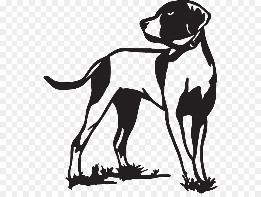 English Setter Pointer Hunting dog Bird dog - hunting dog png download - 600*668 - Free Transparent English Setter png Download.