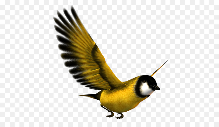 Bird flight Bird flight Eurasian Magpie Yellow - Yellow bird png download - 512*512 - Free Transparent Bird png Download.