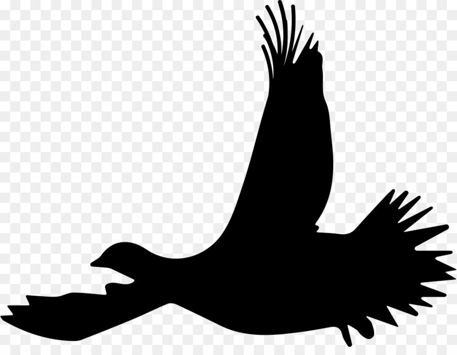 Bird Ruffed grouse Flight Silhouette - Bird png download - 981*746 - Free Transparent Bird png Download.