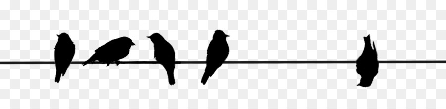 Black Line Silhouette Angle White - Bird On A Wire png download - 1142*257 - Free Transparent Black png Download.