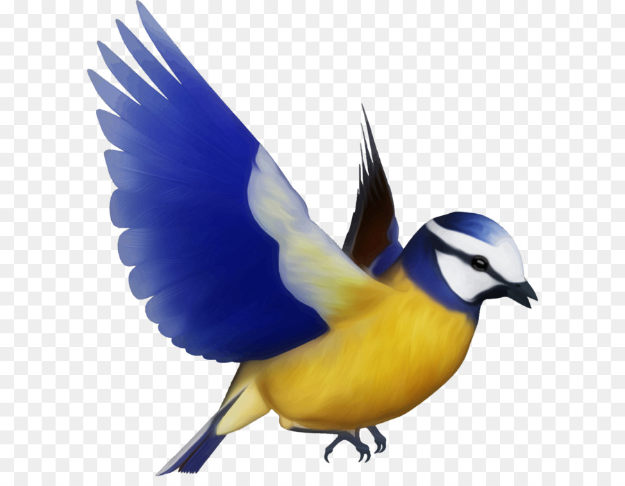 Bird Silhouette Clip art - Bird PNG png download - 1965*2073 - Free Transparent Bird png Download.