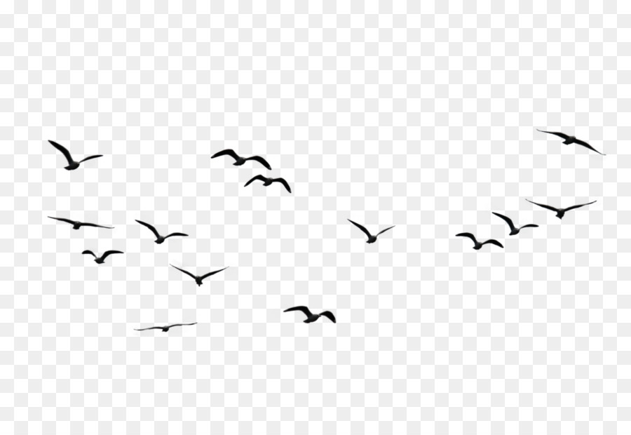 Bird Flock Clip art - Birds PNG Image png download - 1024*683 - Free Transparent Bird png Download.