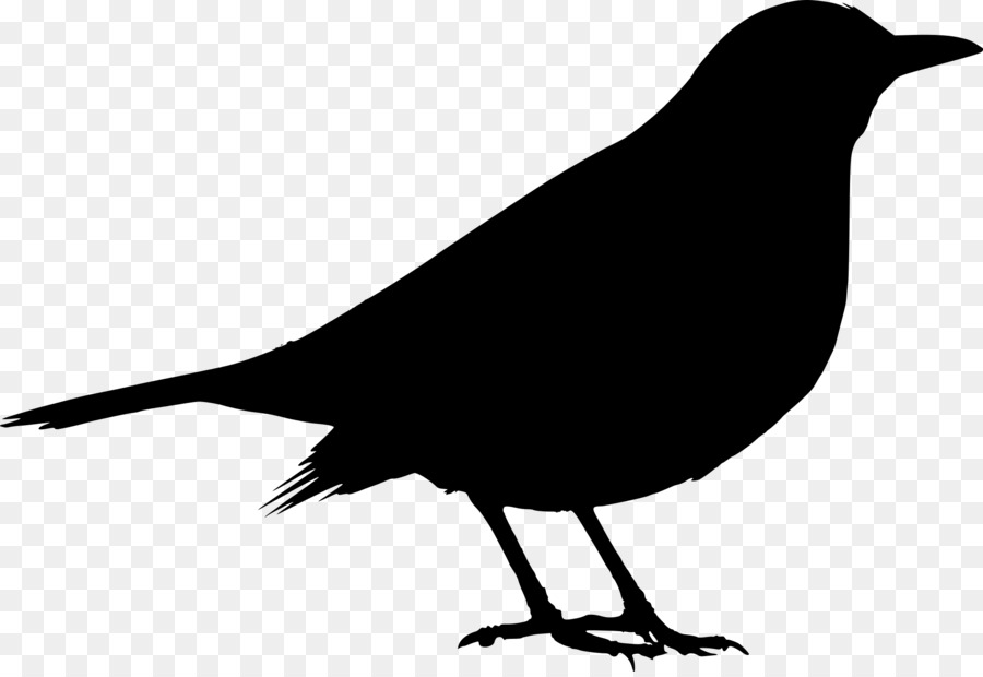 Common blackbird Silhouette Clip art - flock of birds png download - 2000*1367 - Free Transparent Bird png Download.