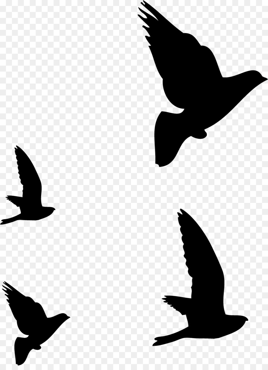 Hummingbird Flight Silhouette Drawing - birds silhouette png download - 951*1294 - Free Transparent Bird png Download.