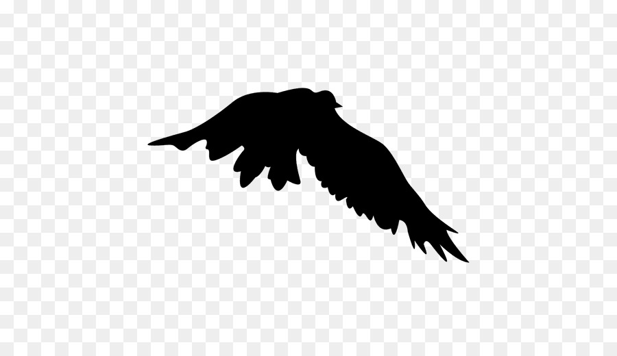 Bird Flight Silhouette Eagle - Bird png download - 512*512 - Free Transparent Bird png Download.
