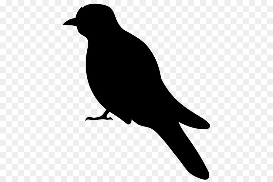 Bird Silhouette Clip art - Bird png download - 504*600 - Free Transparent Bird png Download.