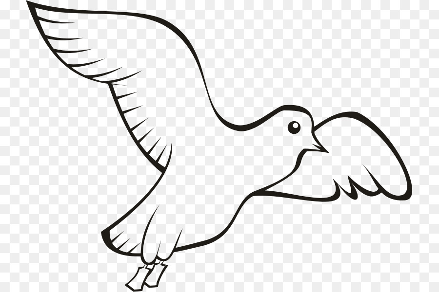 Bird Beak Domestic pigeon Columbidae Clip art - Bird png download - 793*600 - Free Transparent Bird png Download.