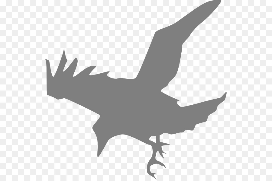 Common raven Bird Silhouette Clip art - Raven Outline Cliparts png download - 600*597 - Free Transparent Common Raven png Download.