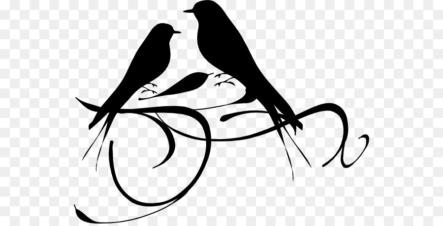 Black-cheeked lovebird Black and white Clip art - Outline Drawings Of Birds png download - 600*455 - Free Transparent Bird png Download.