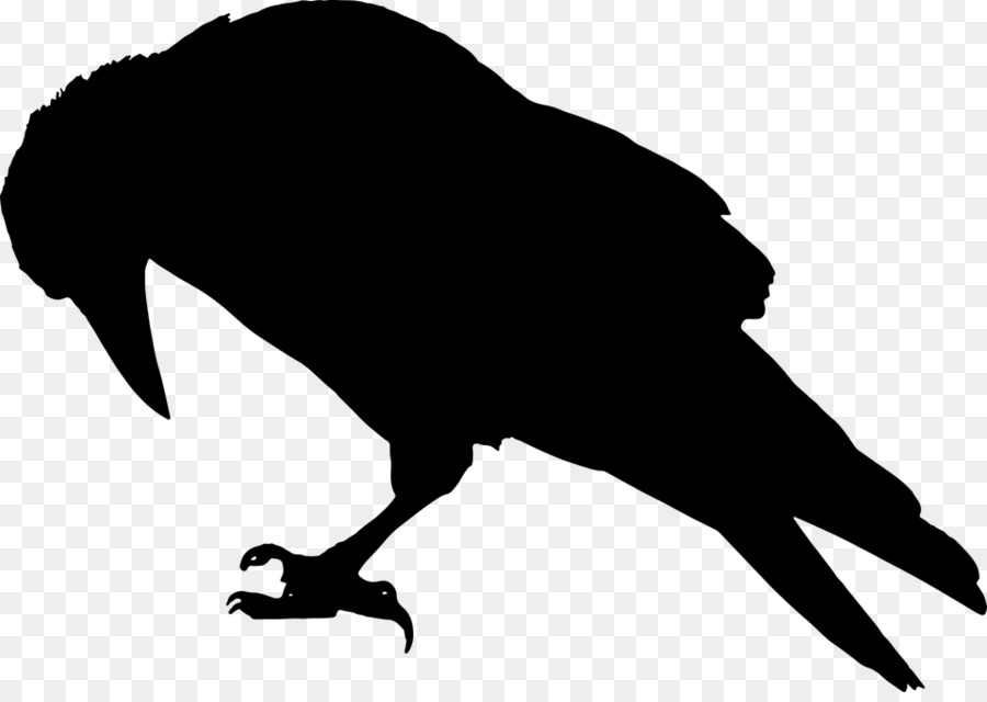 The Raven Common raven Silhouette Clip art - vogelschwarz png download - 960*673 - Free Transparent Raven png Download.