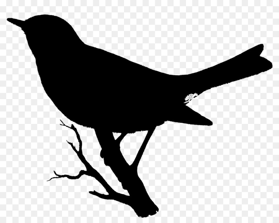 American crow Clip art Fauna Beak Silhouette -  png download - 1200*959 - Free Transparent American Crow png Download.