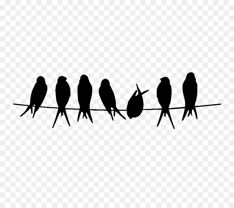 Wall decal Printing Poster Rare Bird Salon - Bird On A Wire png download - 800*800 - Free Transparent Wall Decal png Download.