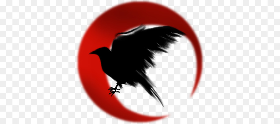 Common raven Symbol The Raven Meaning - symbol png download - 640*400 - Free Transparent Common Raven png Download.