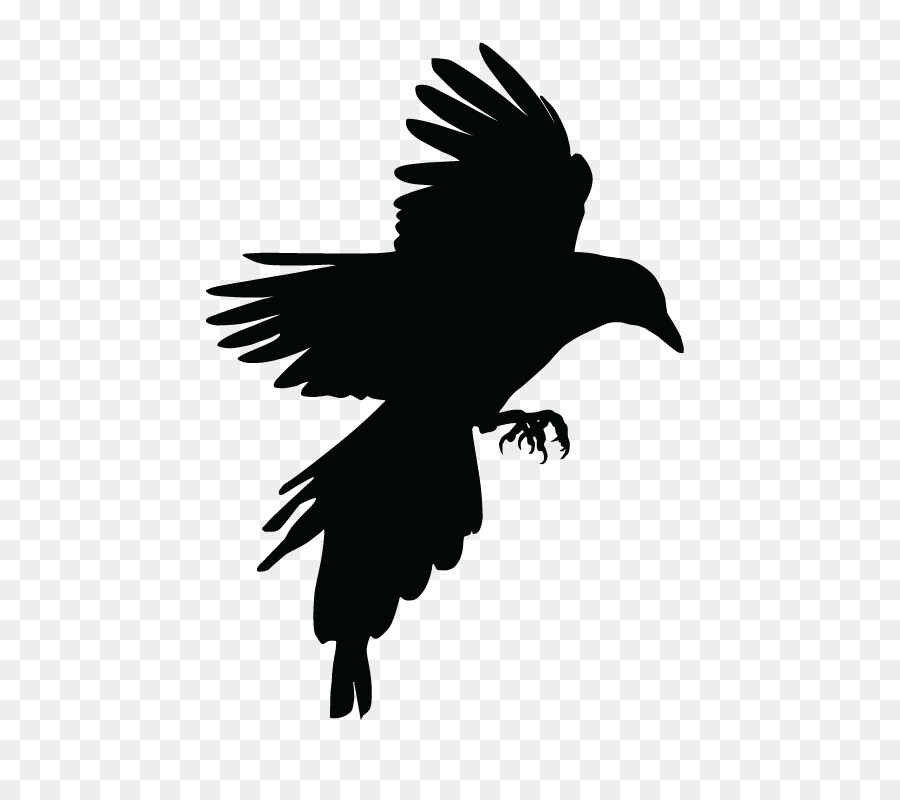 Bird Crow Eurasian Magpie Tattoo - Bird png download - 612*792 - Free Transparent Bird png Download.
