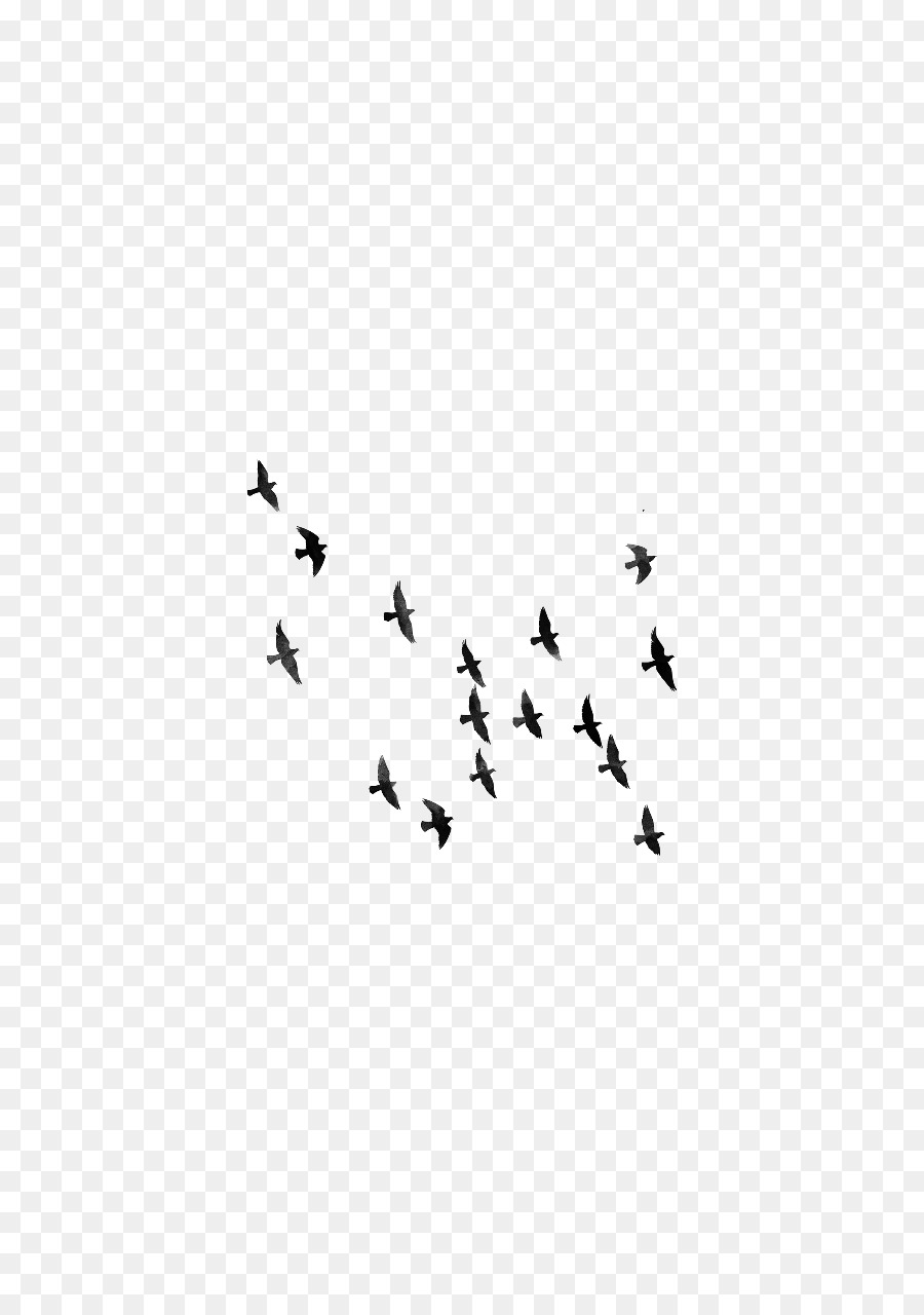 Bird Editing Clip art - flock png download - 720*1280 - Free Transparent Bird png Download.