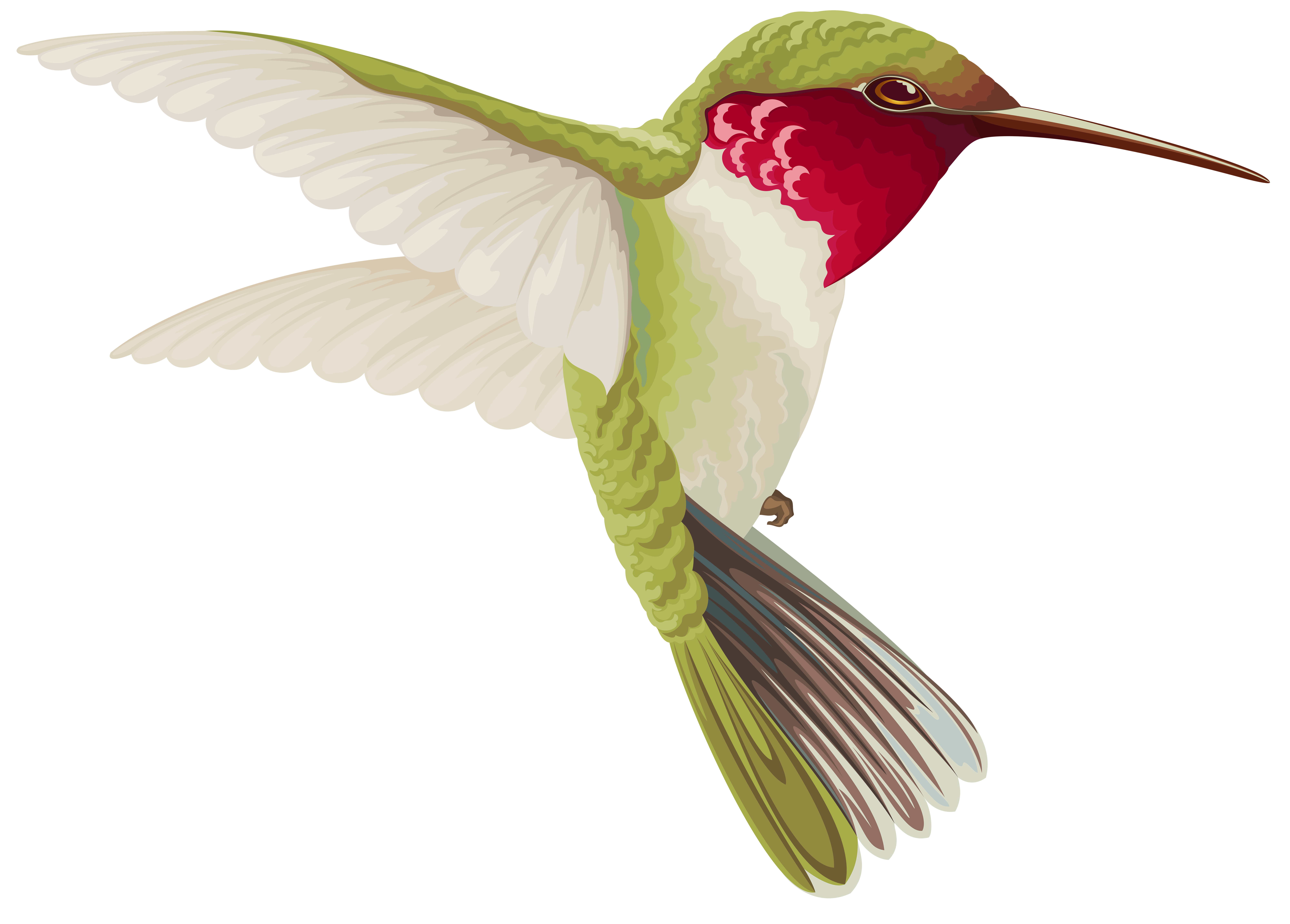 Hummingbird Clip art - Humming Bird Transparent Clip Art Image png download  - 8000*5732 - Free Transparent Hummingbird png Download. - Clip Art Library