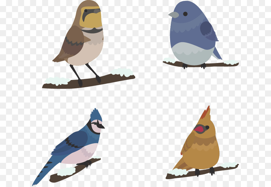 Bird Winter Euclidean vector - Winter cute birds png download - 688*617 - Free Transparent Bird png Download.