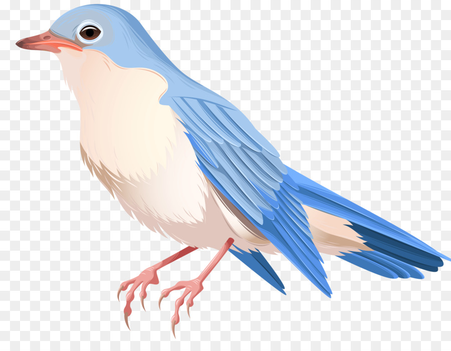 Bird Clip art - paper birds png download - 8000*6133 - Free Transparent Bird png Download.