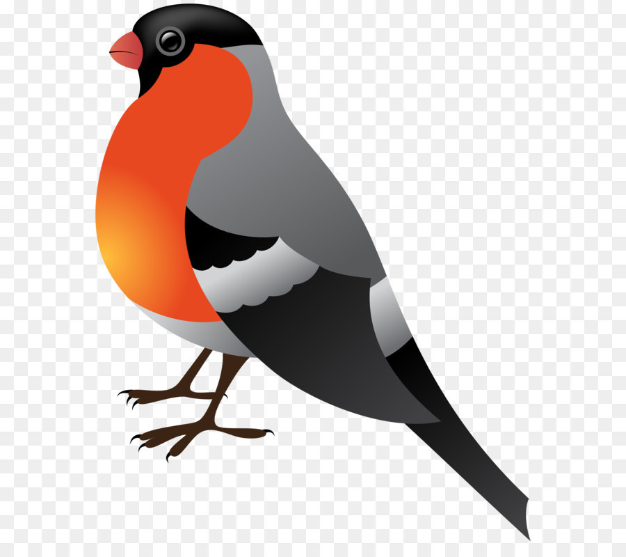Bird Winter Clip art - Winter Bird Transparent PNG Clip Art png download - 6640*8000 - Free Transparent Bird png Download.