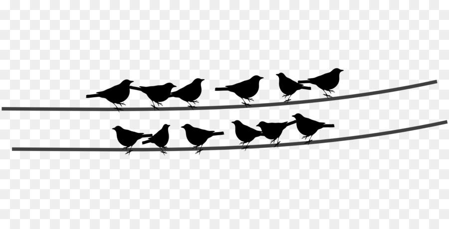 Bird Wire Clip art - birds silhouette png download - 1920*960 - Free Transparent Bird png Download.