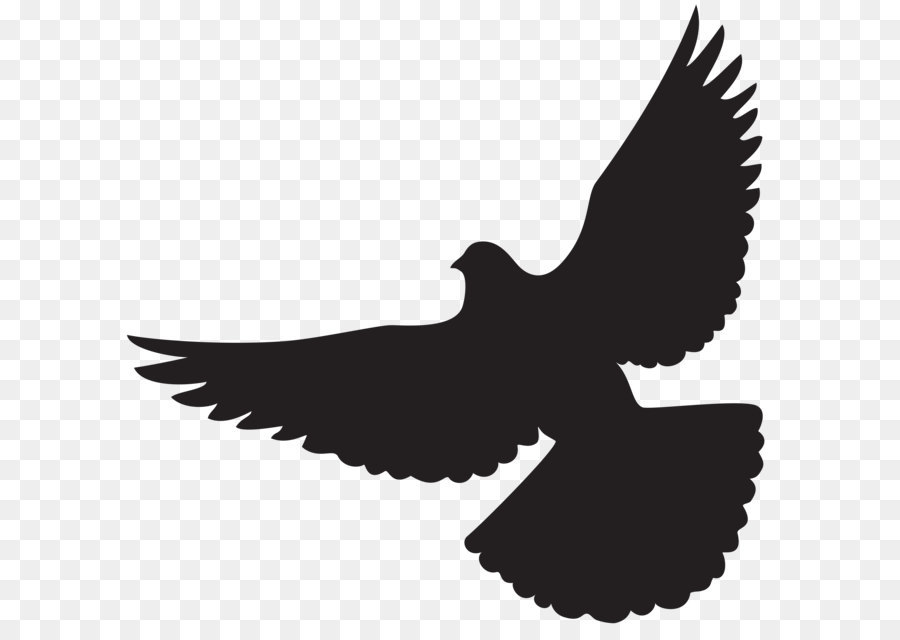 Bird Wing Bat Flight Lift - Dove Silhouette PNG Clip Art png download - 8000*7727 - Free Transparent Columbidae png Download.
