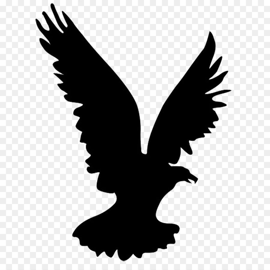 Bald Eagle Bird Silhouette Clip art - Eagle Silhouette Cliparts png download - 696*886 - Free Transparent Bald Eagle png Download.
