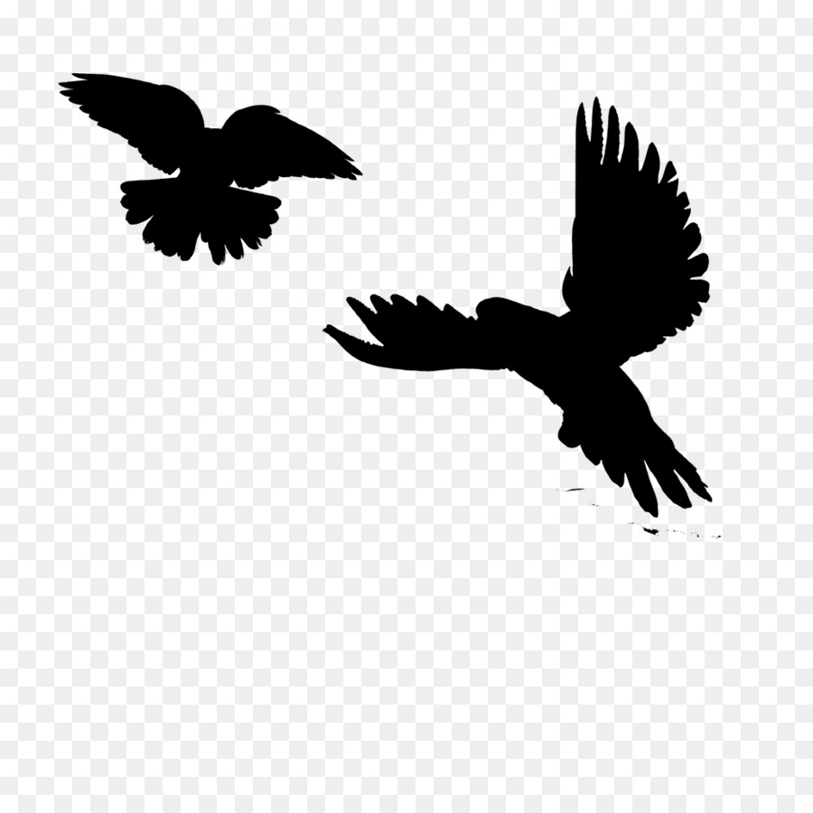 Image Silhouette Eagle Bird Clip art -  png download - 1032*1032 - Free Transparent Silhouette png Download.