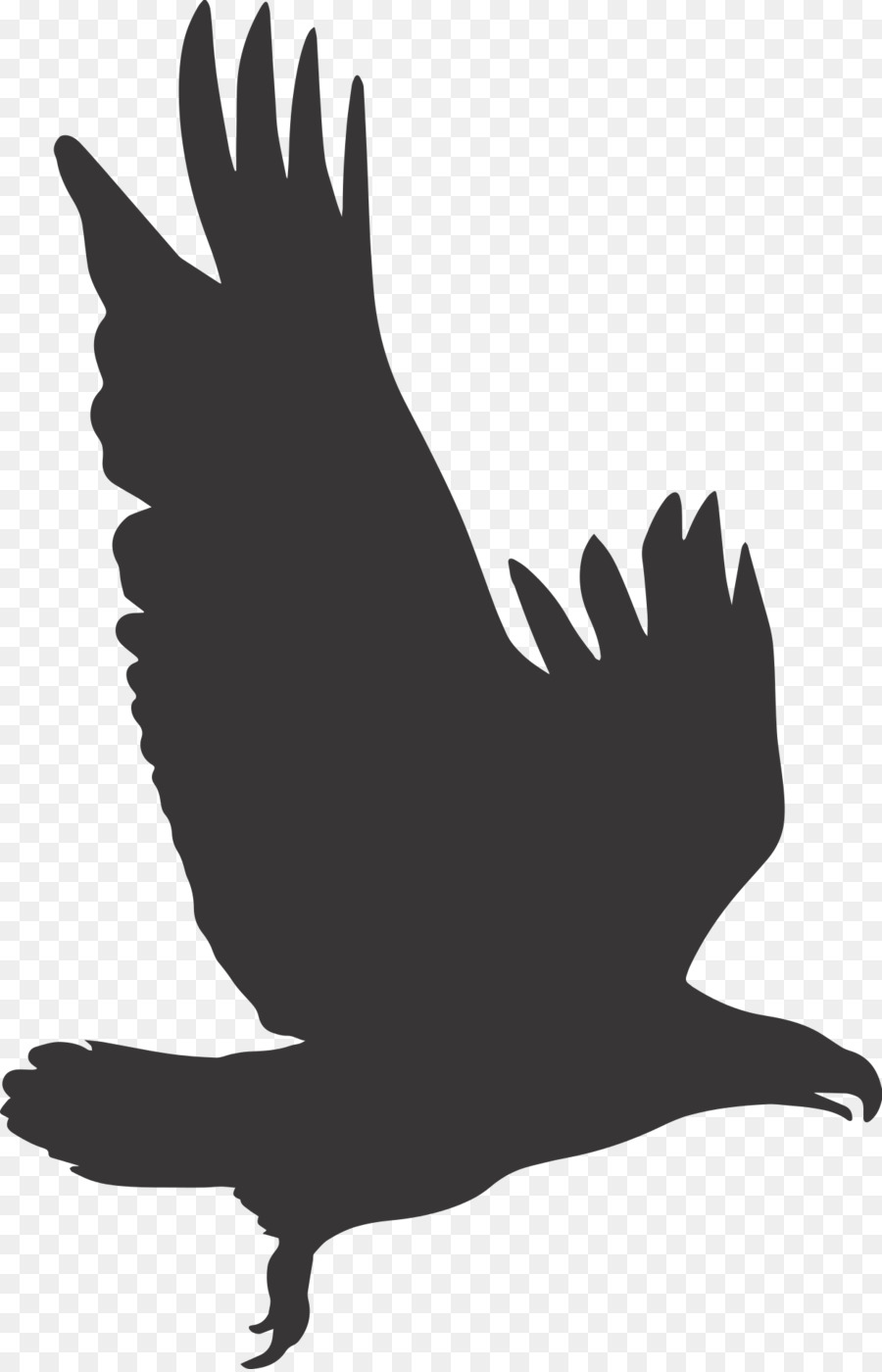 Vector graphics Clip art Bald eagle Illustration - eagle png download - 1237*1920 - Free Transparent Eagle png Download.