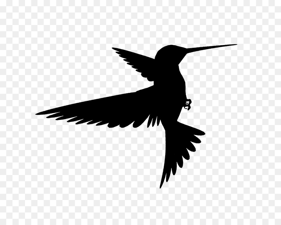 Hummingbird Silhouette Wing - Bird png download - 720*720 - Free Transparent Bird png Download.